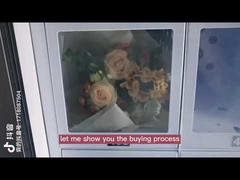 22-calowy automat sprzedający mrożone produkty do lodów serowych i mięsnych Rozmiar szafki dostosowany do indywidualnych potrzeb