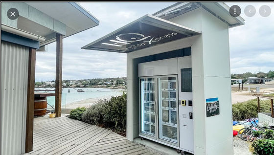 Czytnik kart płatności Zamrożone szafki automatyczne dla zamrożonego mięsa ostrygi