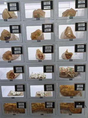 Automat z szafkami o pojemności 40 szafek z higieniczną konstrukcją i systemem operacyjnym Android 11