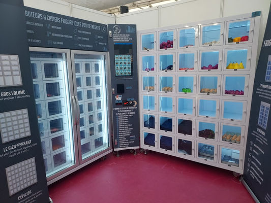 Dostosowany automat do sprzedaży jaj z grafiką działający na Androidzie 11