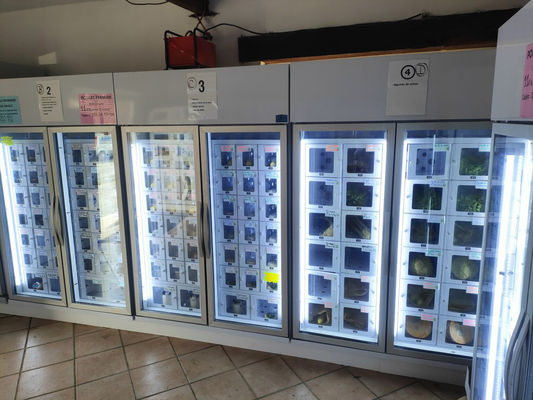 Android 11 Maszyna do dystrybucji jaj dla producentów rolnych na małą skalę 24/7 wygodność i wydajność